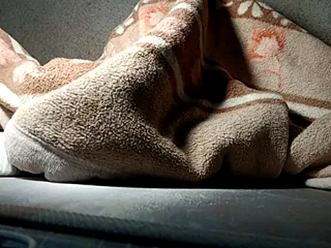 seductivescamp webcam