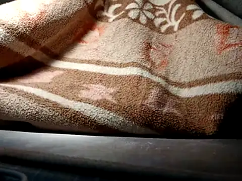 seductivescamp webcam