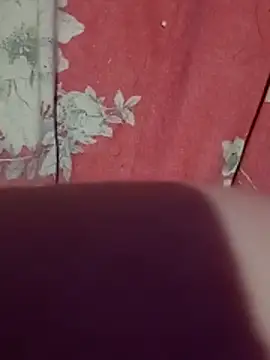 KoringaeAlerquina webcam