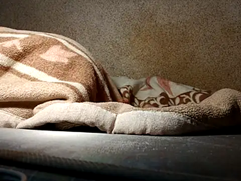 seductivescamp webcam