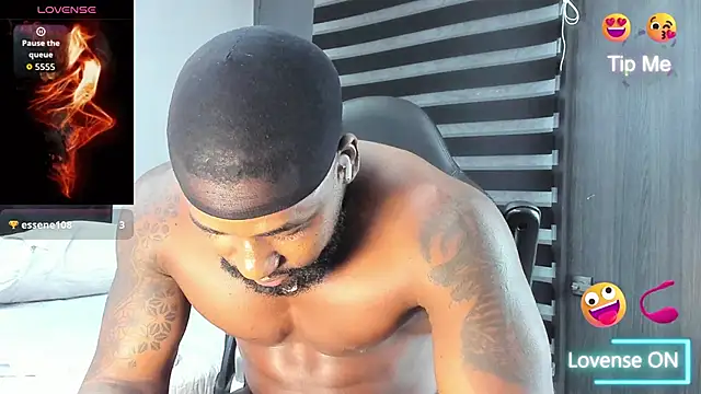 Dancelwashington webcam