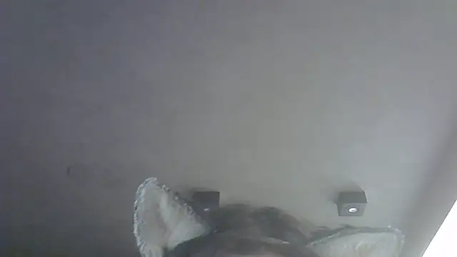 SkinnyKitten webcam