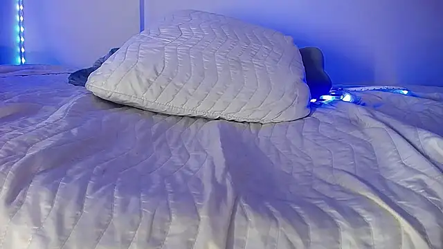 Denzo_cornell1 webcam