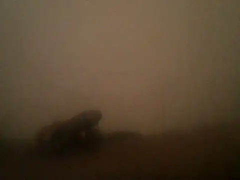 soulshaker2222 webcam