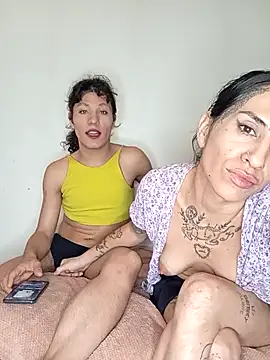 LaCristinatrans webcam