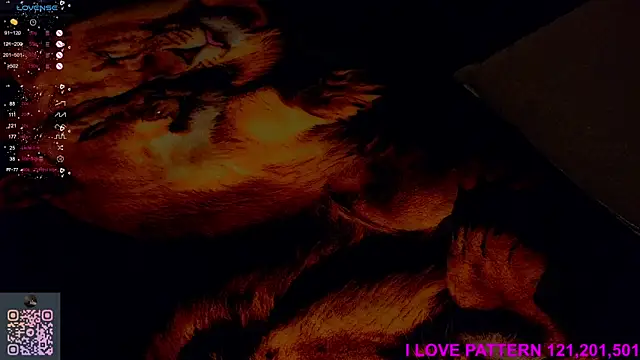 Hollara_Bangg webcam