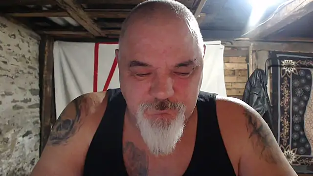 Newfiesausage1972 webcam