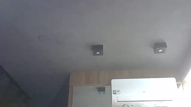 SkinnyKitten webcam