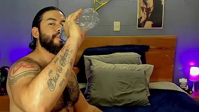 Prometeo-grizzly webcam