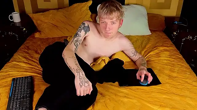 TRAVIS_CLAS webcam