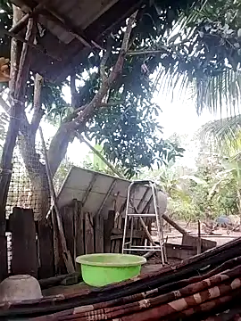 Webcam Model (BigBoobs186) is live