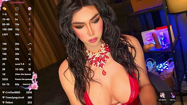 Preview of celinewintour