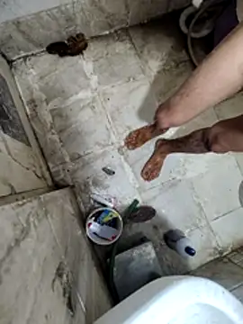 TwinklyBasket897 webcam