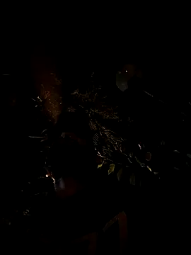 Kingbigcock23cm webcam