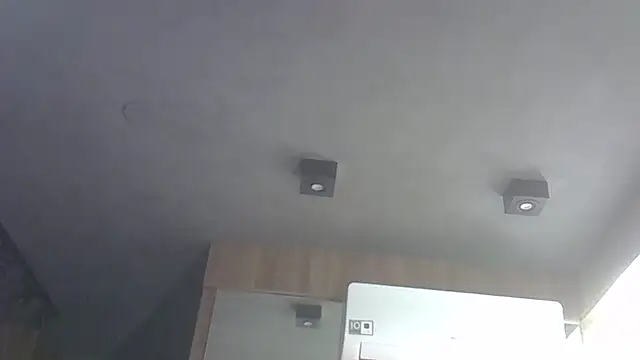 SkinnyKitten webcam