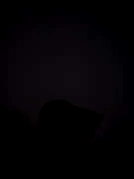 Michaell_Spinelly webcam