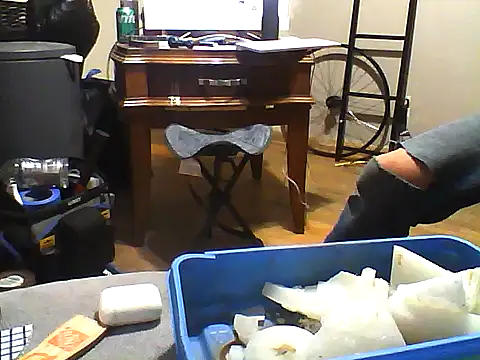 SmokingSloth webcam