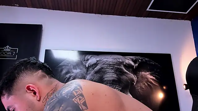 king_falconer webcam