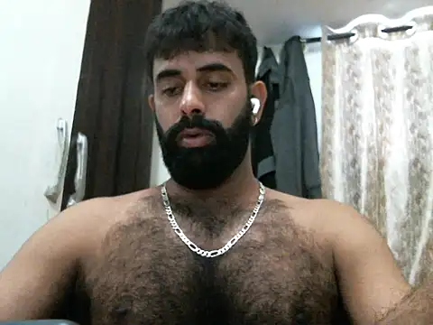 indianhairybull webcam