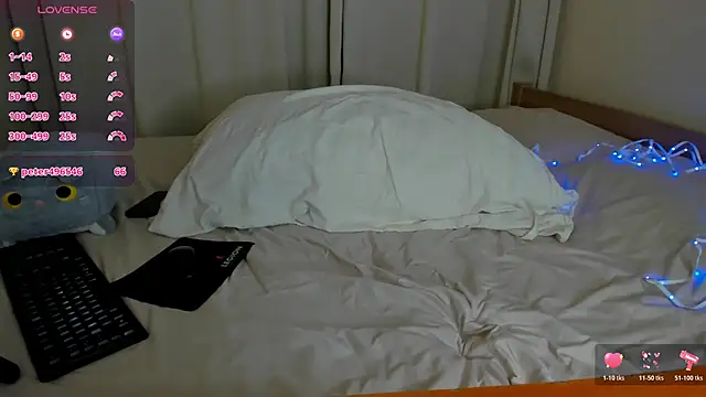 Asirascorpion webcam