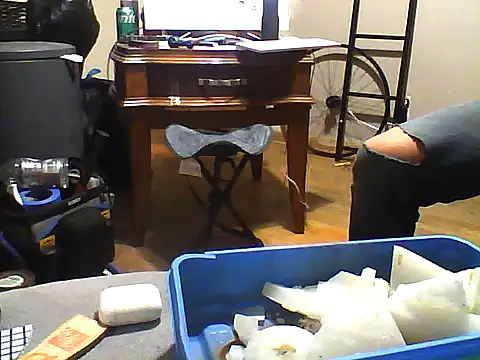 SmokingSloth webcam