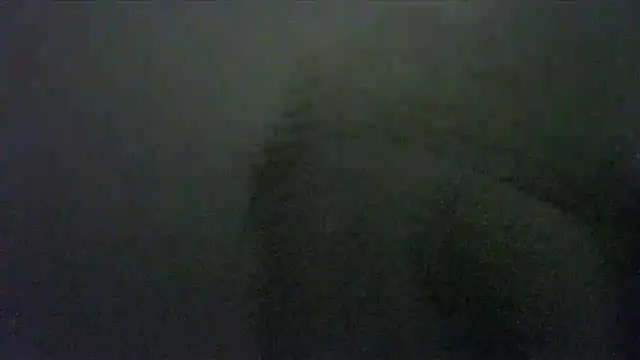 BigcockedTurk20cm webcam