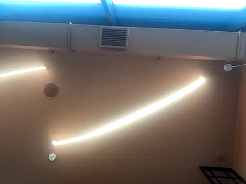 Butterfly8385 webcam