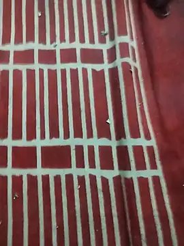 hyderabad_single webcam