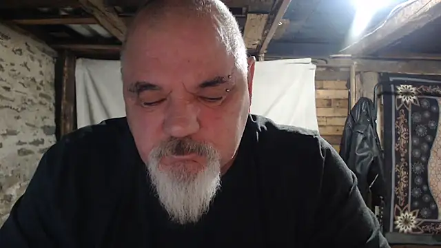 Newfiesausage1972 webcam