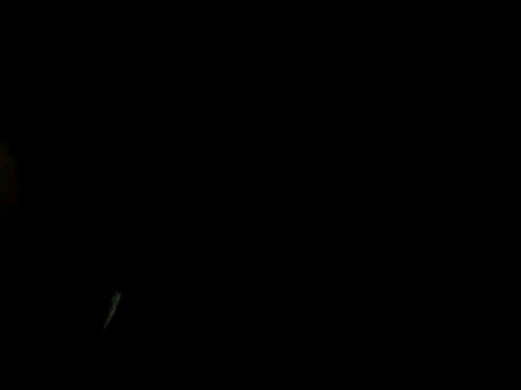 Preview of sexingenieur