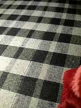 sexy__girls98 webcam