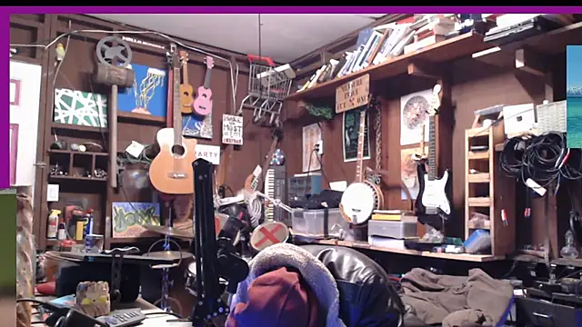 itsjameswebbscope webcam