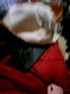 Stranwunder69 webcam