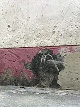 Crazyqueenxxx webcam