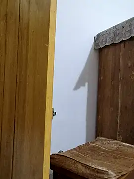 Webcam Model (Tanha18) is live