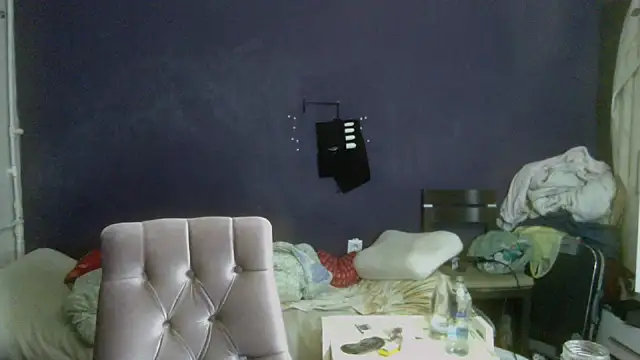 turkishTransEfsun webcam