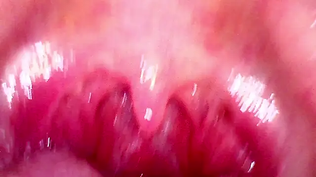 shannon_kinne_ webcam