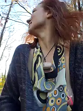 Exhibitionsplit webcam