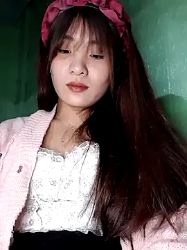 Linksys_nicee webcam