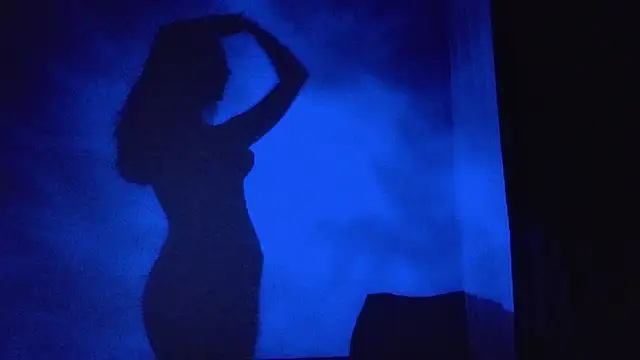 FalineBeacher webcam