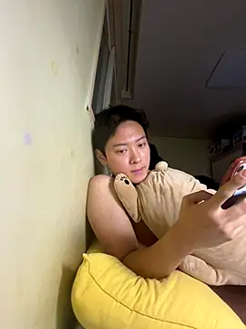 koreahankook2 webcam