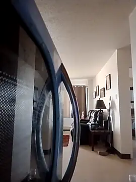 ReallyReallyReal webcam