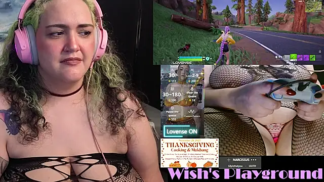 nevermakeawish webcam