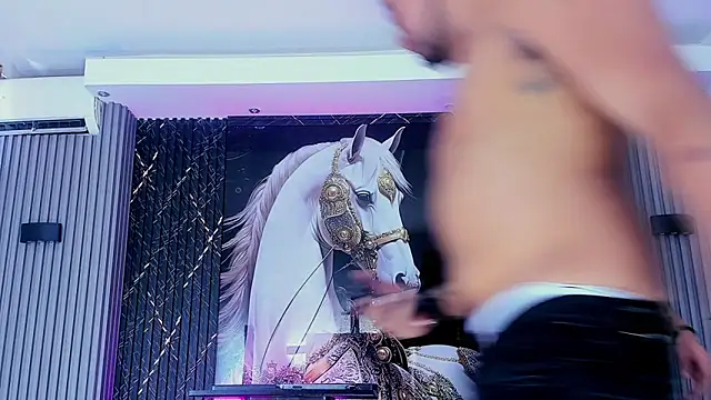 handsome_boys22 webcam