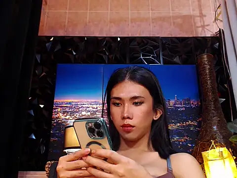 TRANSPORNIDOL webcam