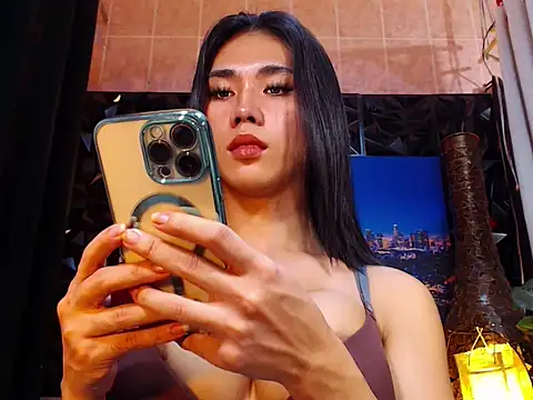 TRANSPORNIDOL webcam