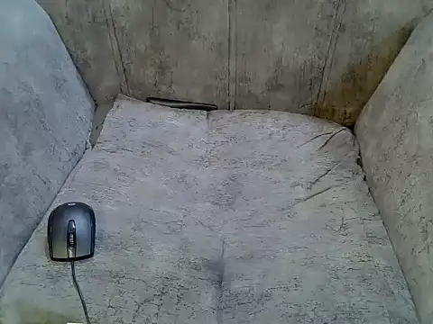 pradapussycat webcam