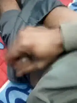 Bengali_BULL1 webcam