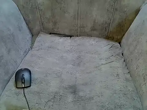 pradapussycat webcam