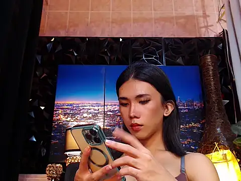 TRANSPORNIDOL webcam